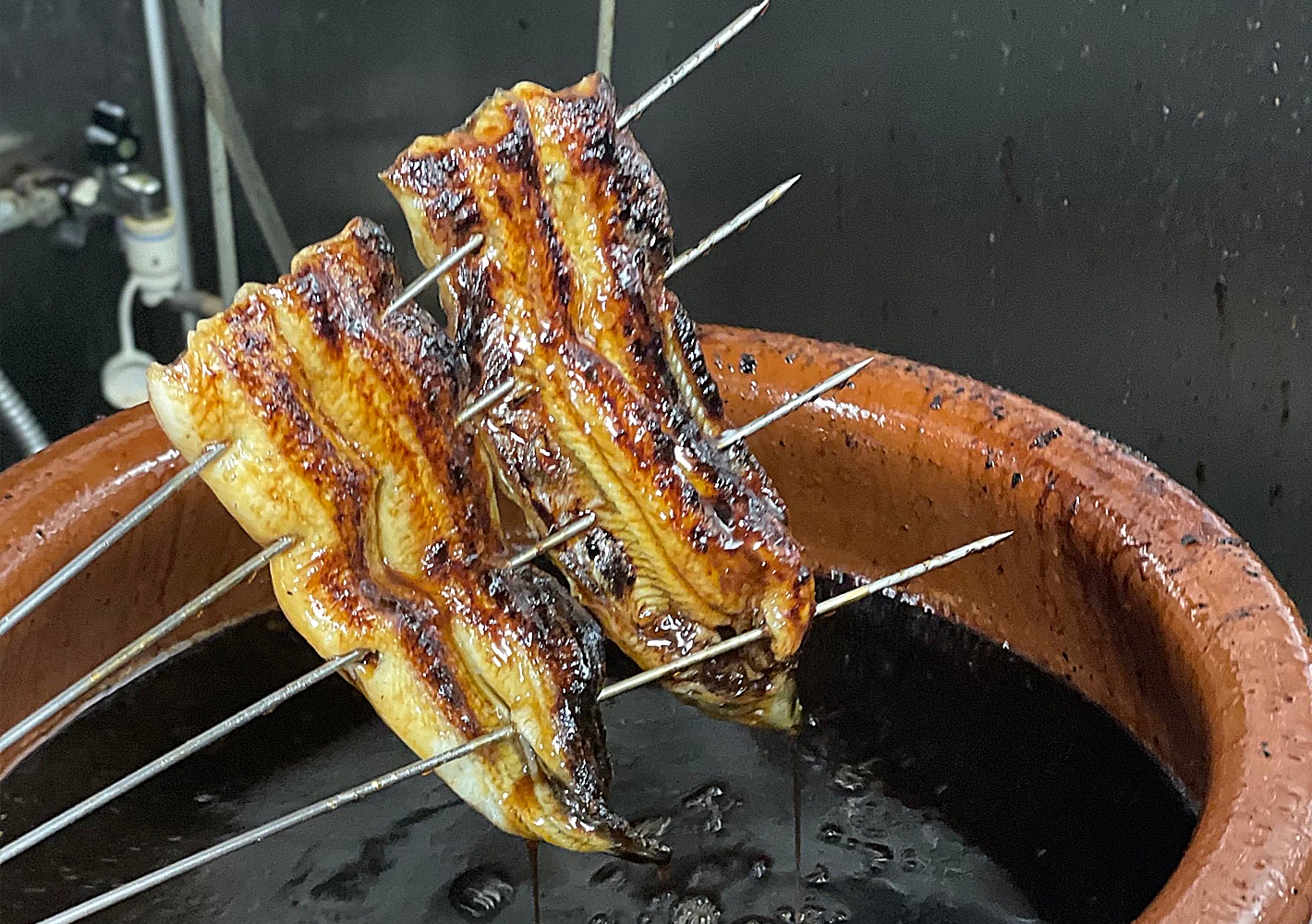 美味しそうなうなぎの蒲焼